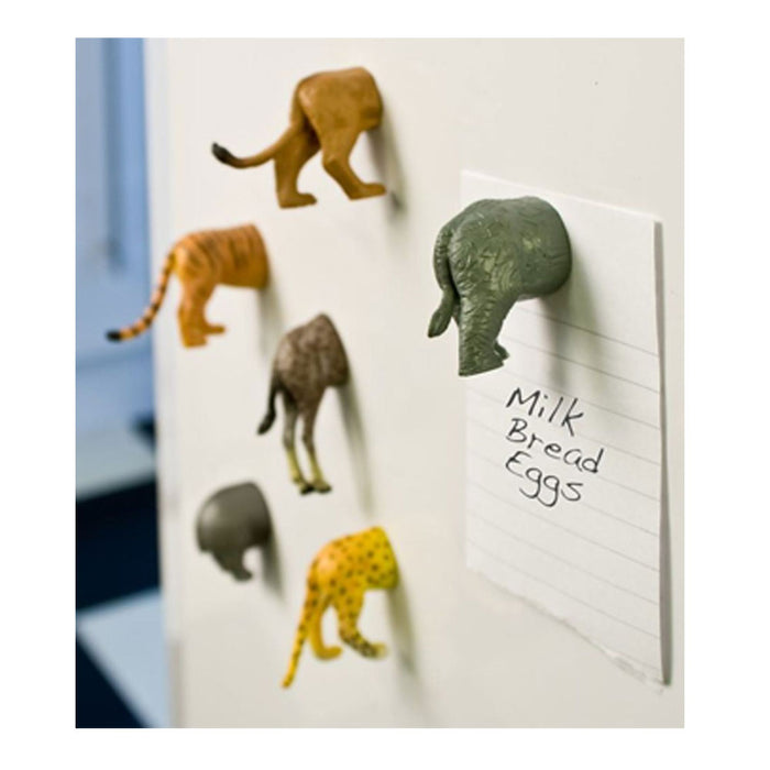 6 Refrigerator Magnets Safari Gift Set Home Decoration Novelty Animal Butt Funny