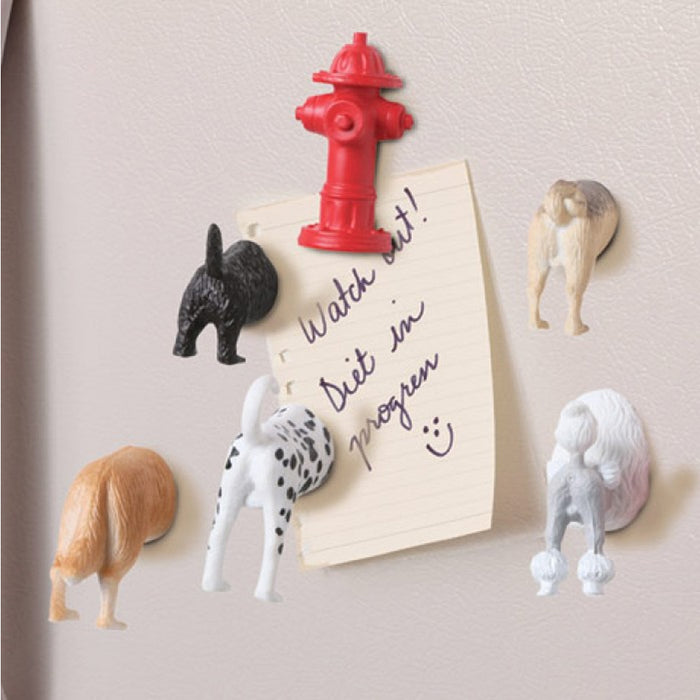 6 Kikkerland Butt Magnets Fridge Strong Magnetic Surface Animal Fun Novelty Gift