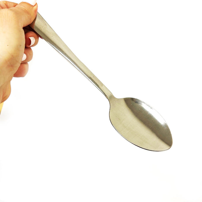 12 Stainless Steel 18/0 Tablespoon Serving Spoon Dinner Spoon Round Edge Silver