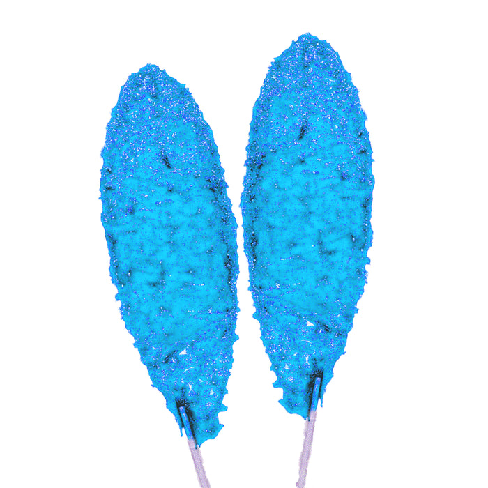 40 Pc Tamarind Blue Flavor Paletas Mexican Lollipops Slaps Cachetadas Suckers