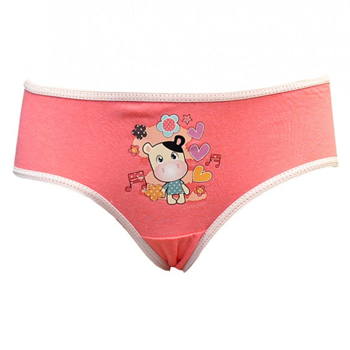 6 Pc Girls Briefs Panties 100% Cotton Underwear Cute Children Panty Kids Size L