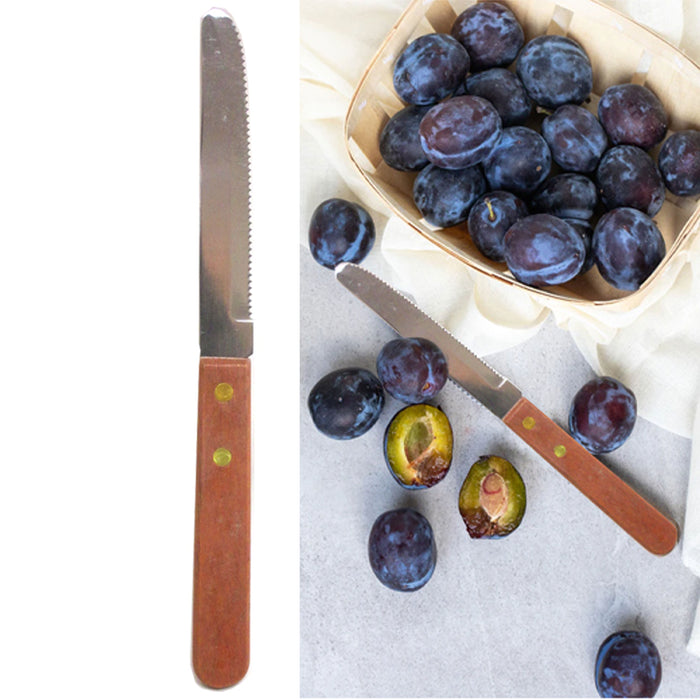 Steak Knives Set of 12 - Wooden Handled Serrated Steak Knives - Economy  Pack by CUSINIUM