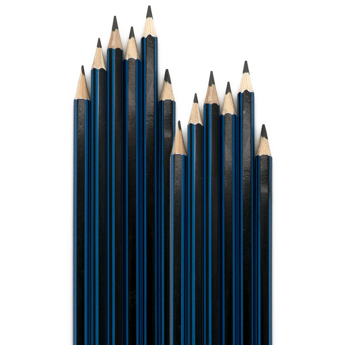 48 Graphite Drawing Sketching Pencils 2B Artist Premium Wood Pencil UN-Sharpened