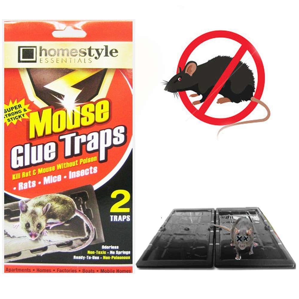 Stick-Em Mouse Glue Trap 4 x 3 Peanut Butter Scented (case of 24) -  American Bakery Supply
