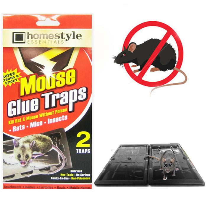 Rataton Glue trap for rats and mice, for extra large animals, without  poison, non-toxic, you can release the animal just apply cooking oil. Easy  to