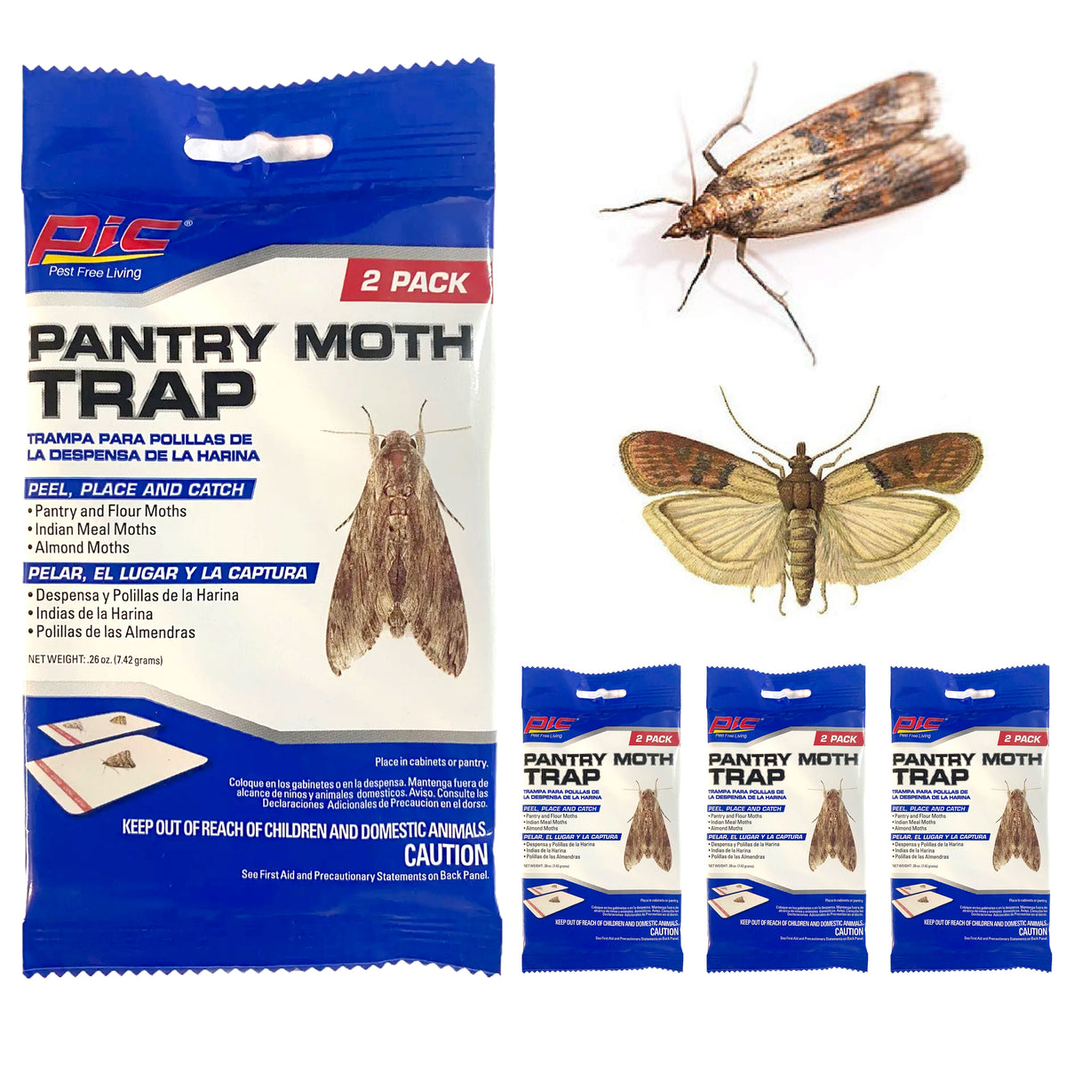 How to Get Rid of Almond Moths [And Other Pantry Moth Species